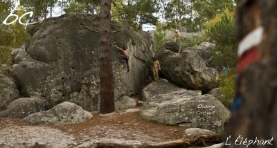 "Orange Circuit" (14)